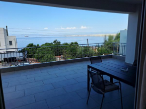 View Verga